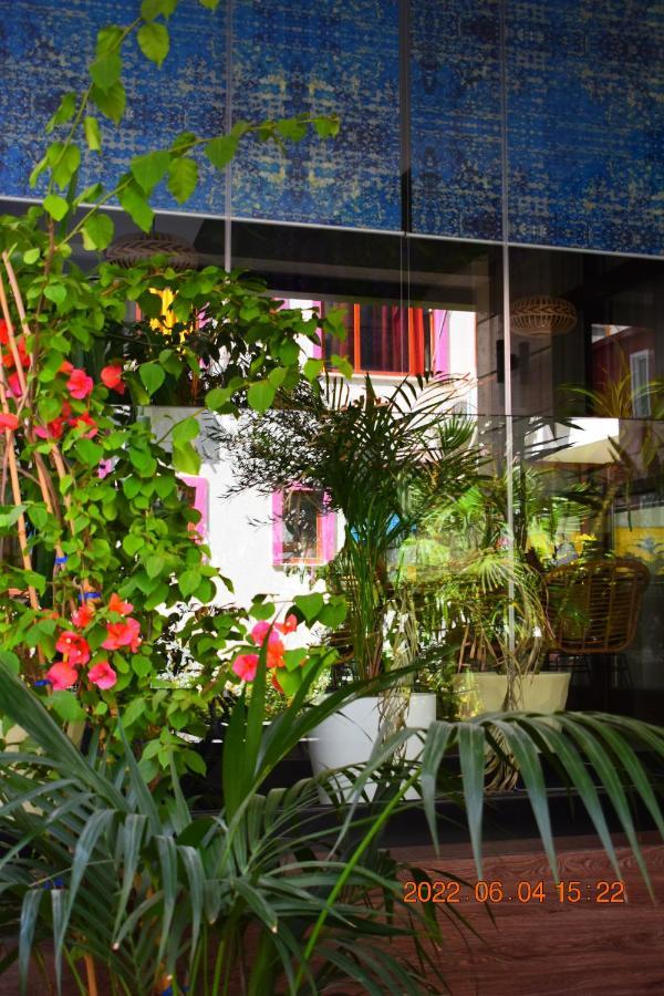 Carpe Diem Apartments-Hotel Shëngjin 外观 照片